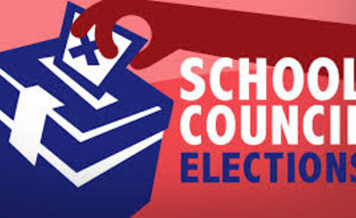 Image of School Council Elections