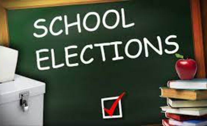 Image of School Elections